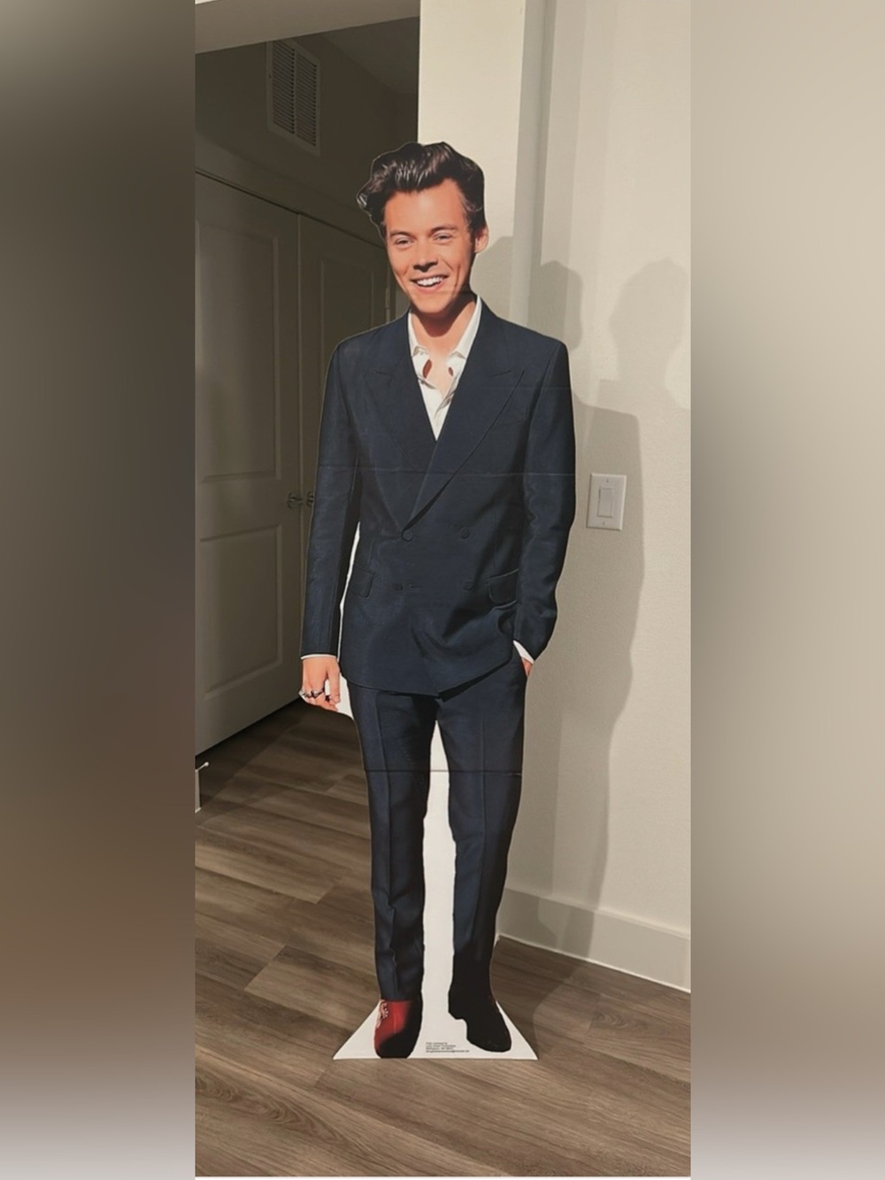 Harry Styles Cardboard Cut out